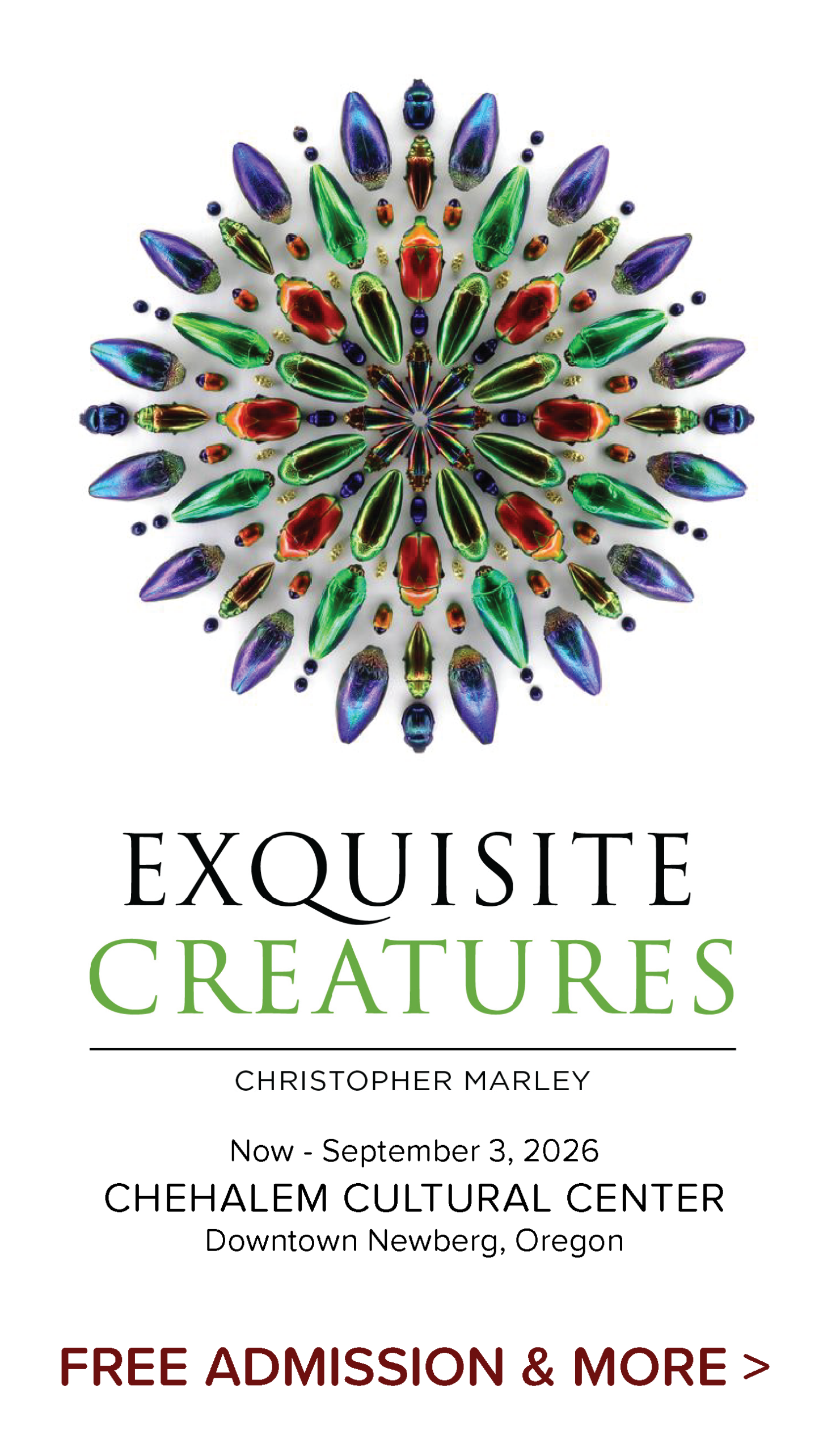EXQUISITECREATURES
