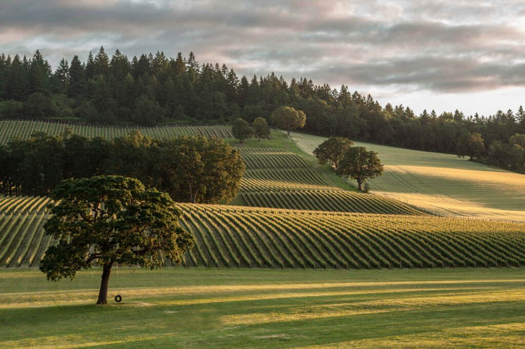 stoller-family-estate-winery-banner