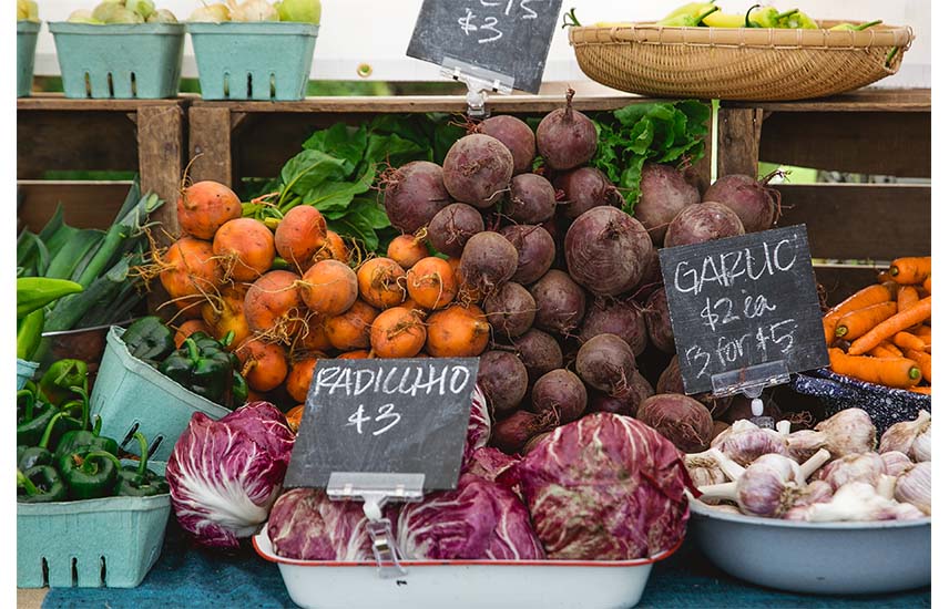 62b666d7d55c088cf6c4f1c213b16878_McMinnvilleFarmersMarket