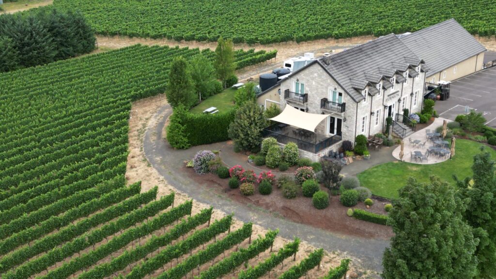 Winery_Drone_08-02-2025-3-scaled-2