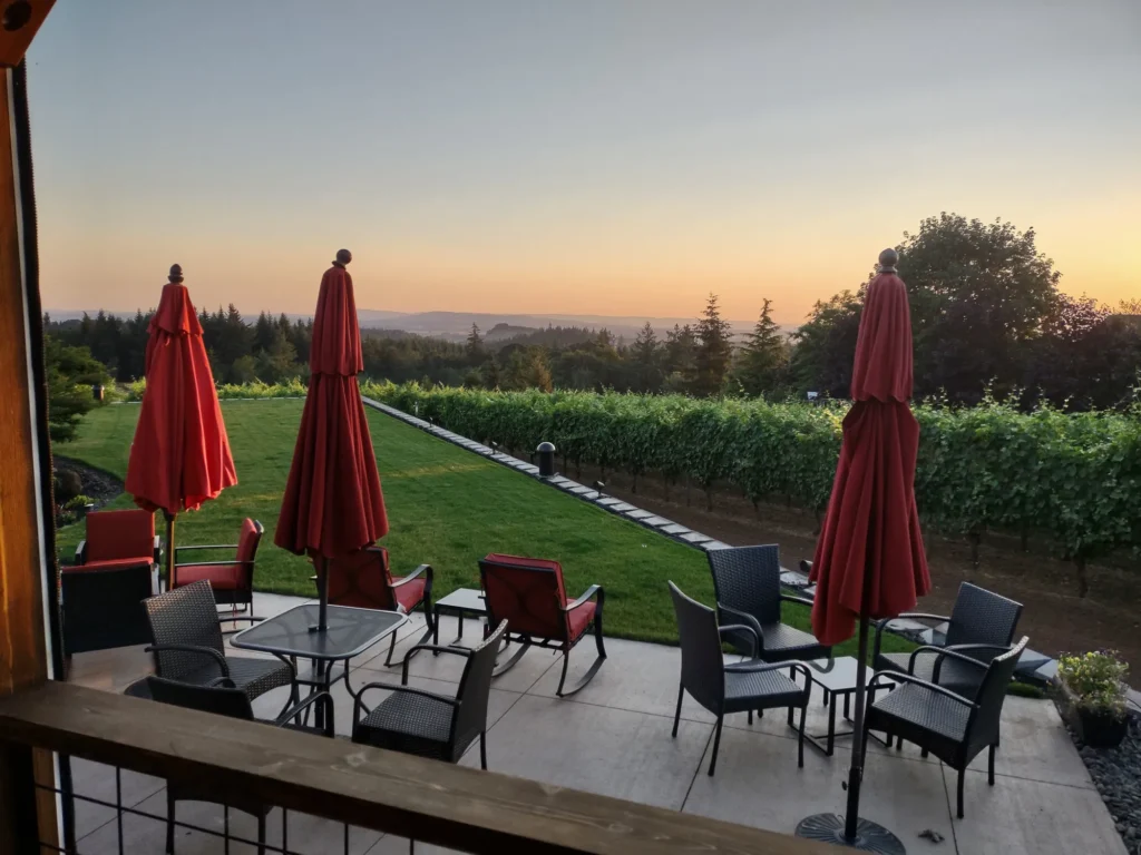 new-back-yard1-Steve-Saxton-1