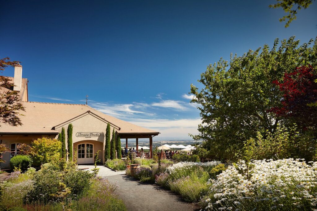 welcome-to-domaine-drouhin