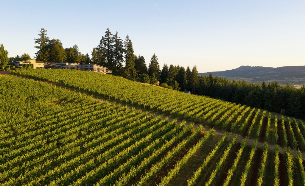 1200x800-Lange-Hero-July-2020-1024x625-2