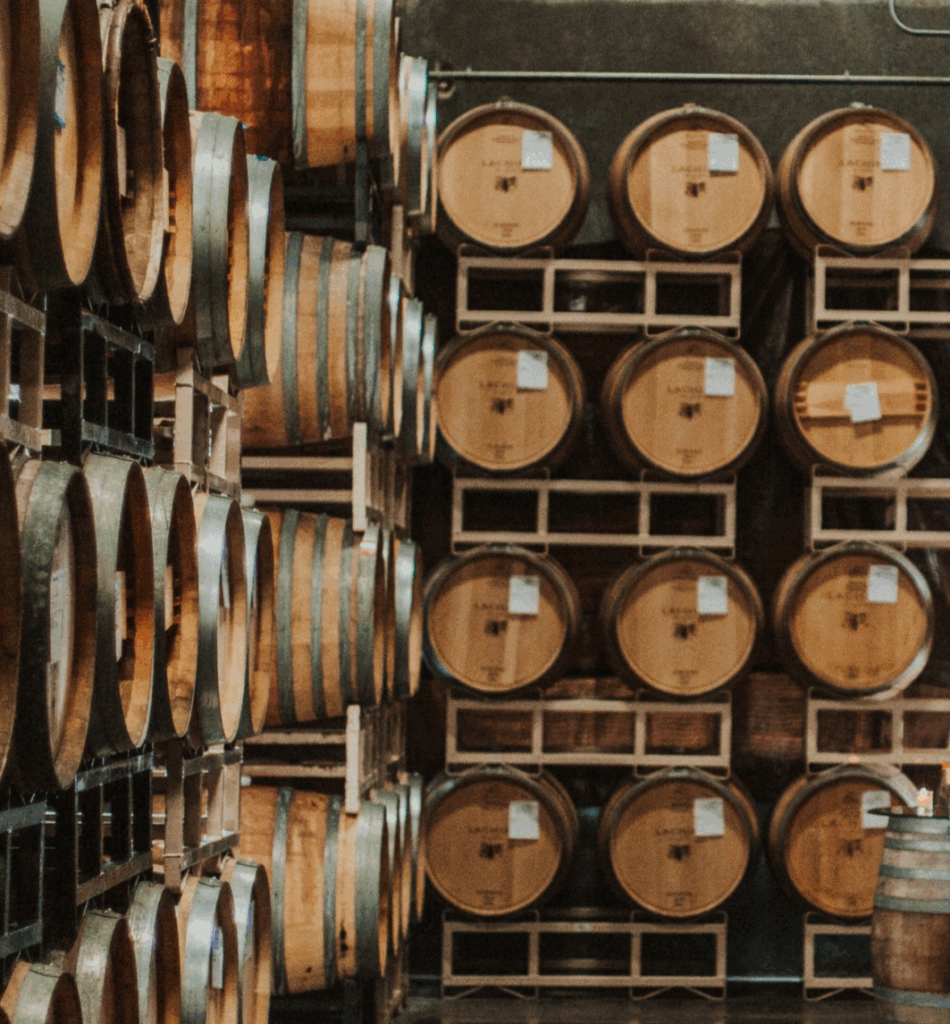 1d7092_8bc641cc2b254ce3936d8b64613a04f2_mv2-1