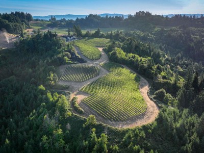 2023_08_DJI_Winery-1115_LR-1