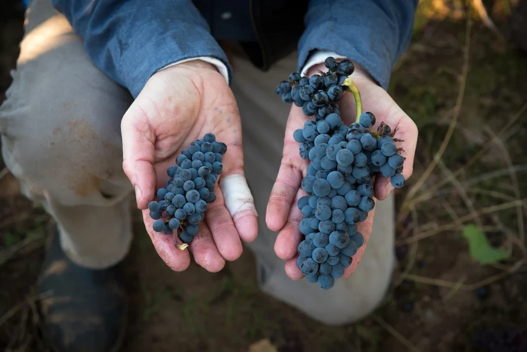 AF1QipPMyOSYJlMtvZvKNbKMwfDq45ULJQoTScdohe3W_s1360-w1360-h1020-rw