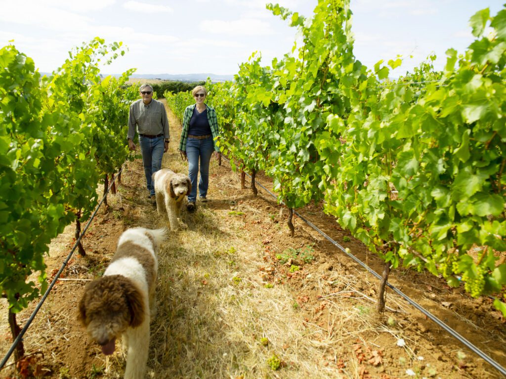 BrittanVineyards-ThomasHeinser0819s_184318