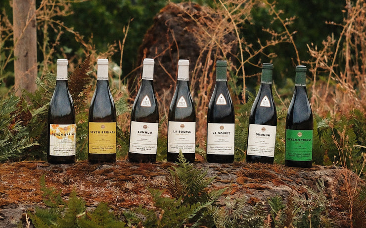 Fall25Lineup_370x230_2x