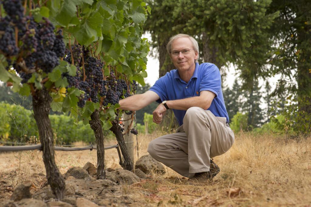 tom-mortimer-le-cadeau-vineyard-photo-by-andrea-johnson-1024x682-1