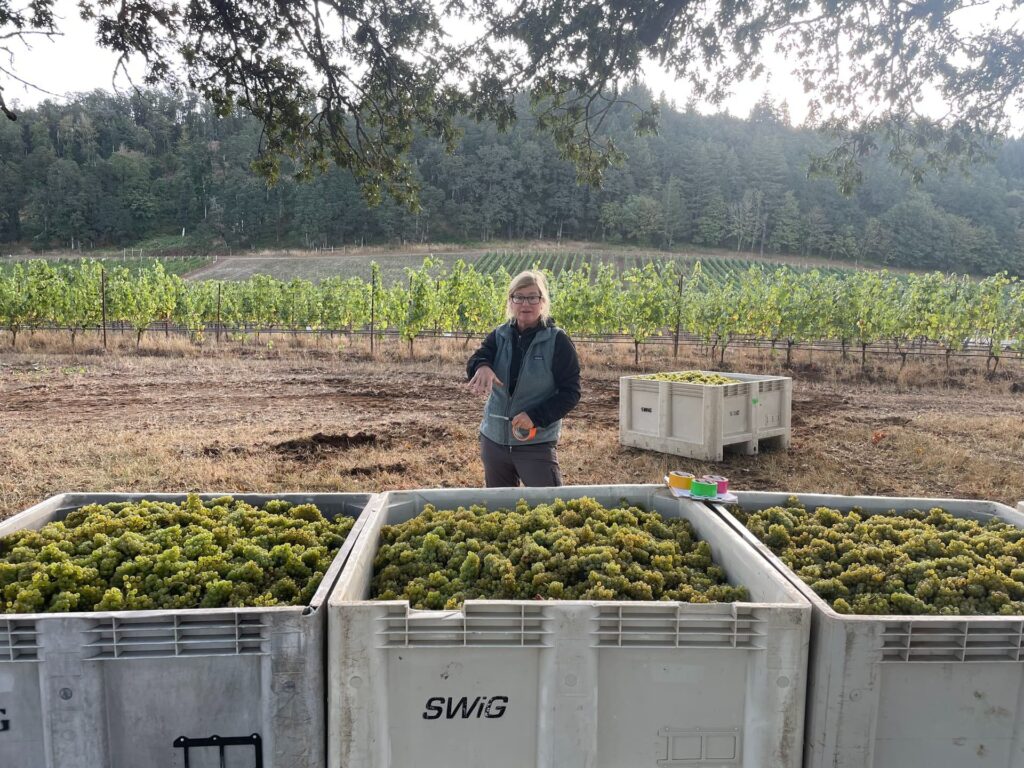 Bracken_2BVineyard