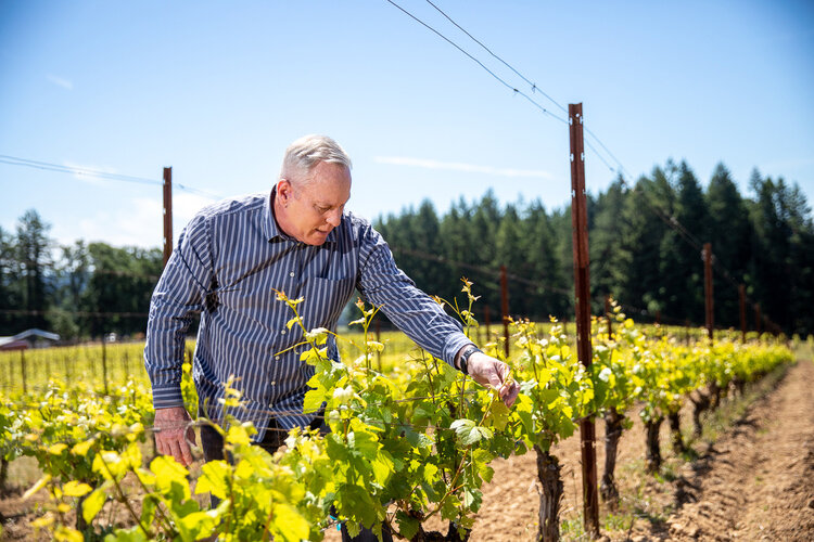 dan-utopia-vineyard-IT4A0684