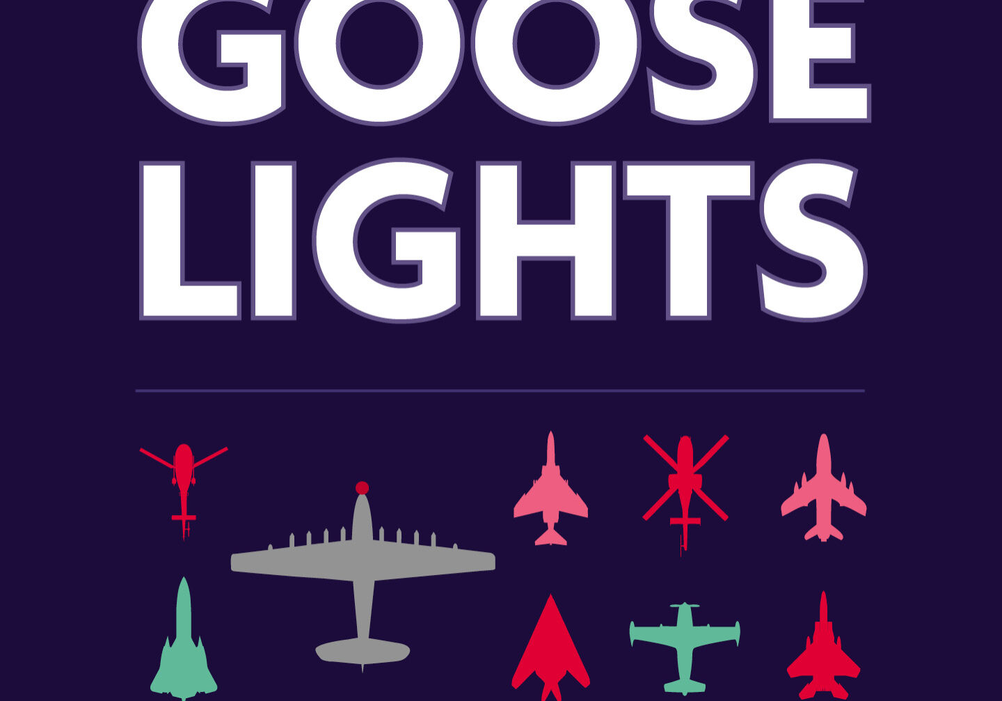 Goose-Lights-web_1080x1080